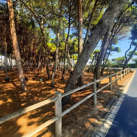 Molise Pt - Myho Casa Apartment Alba Adriatica