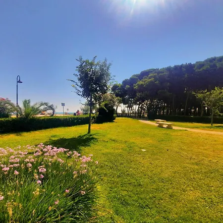 Molise Pt - Myho Casa