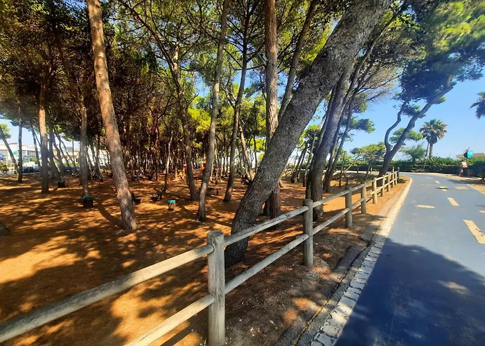 Molise Pt - Myho Casa Lejlighed Alba Adriatica